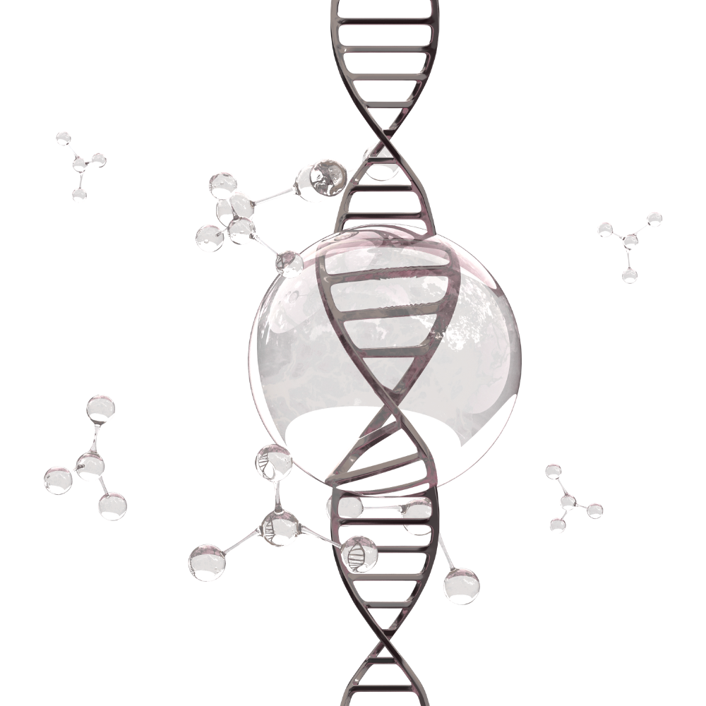<p><strong>Boosts natural collagen production</strong></p>